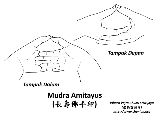 Mudra Buddha Amitayus