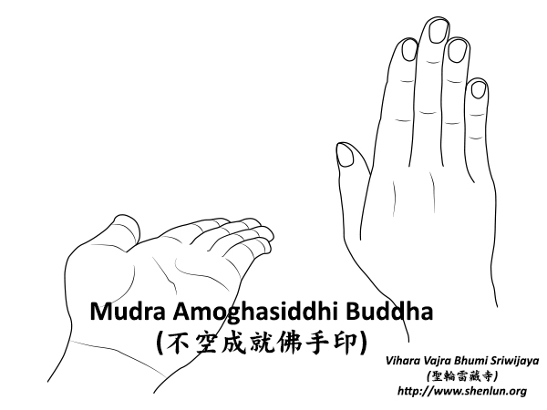 Video Mudra Amoghasiddhi Buddha