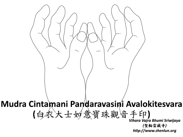 Video Mudra Cintamani Pandaravasini Avalokitesvara 