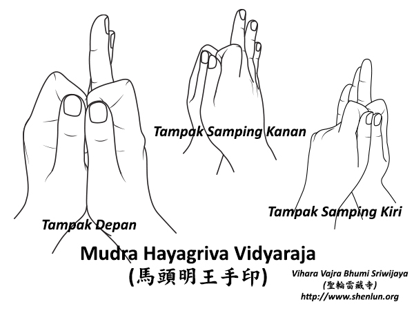 Mudra Hayagriva