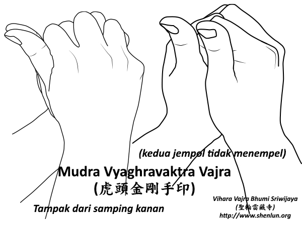 Video Mudra Vyaghravaktra Vajra