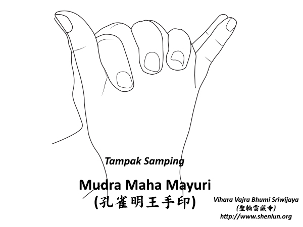 Mudra Maha Mayuri