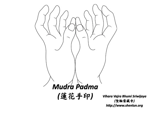 Mudra Arolik/Padma