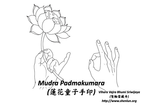 mudra padmakumara