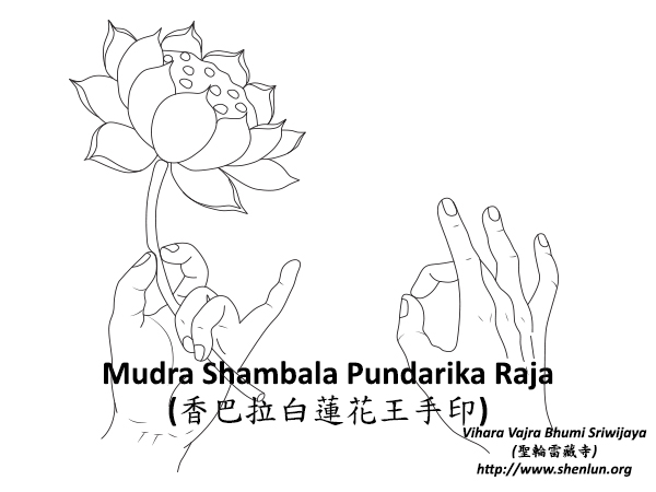 Video Mudra Shambala Pundarika Raja